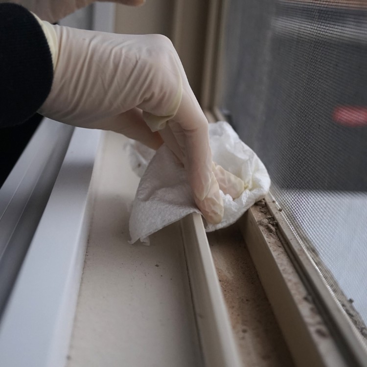 Cleaning in Livington, CO